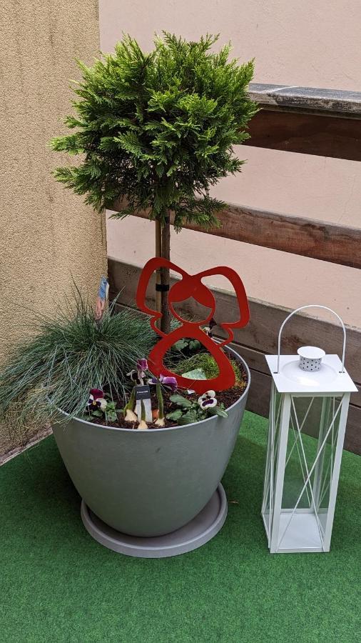 Appartement Chez Mar'Tine Niederbronn-les-Bains Kültér fotó
